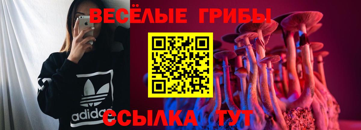 Галлюциногенные грибы Cubensis  Вход с VPN  Чусовой  цена   Галлюциногенные грибы MAGIC MUSHROOMS 